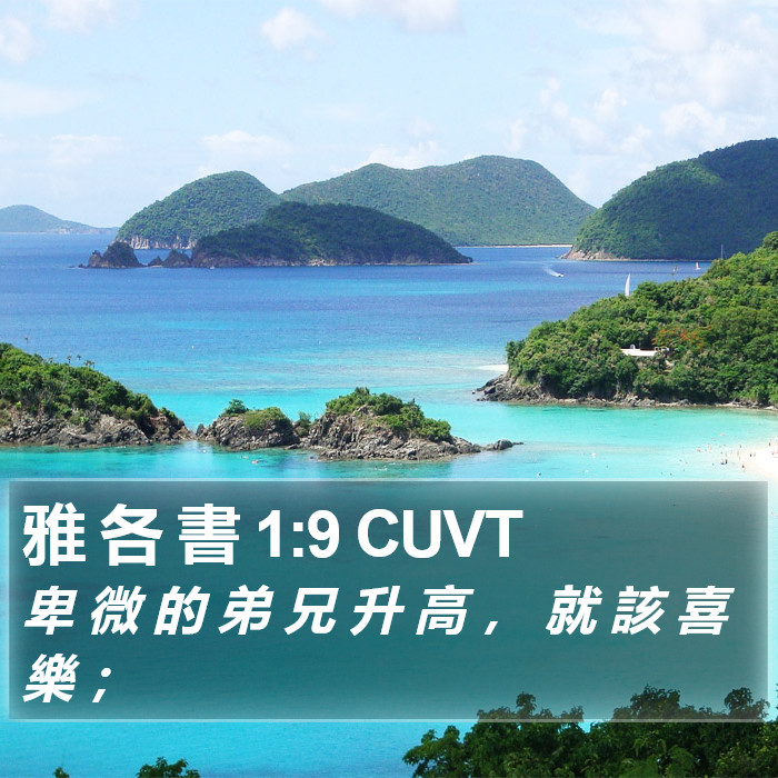 雅 各 書 1:9 CUVT Bible Study