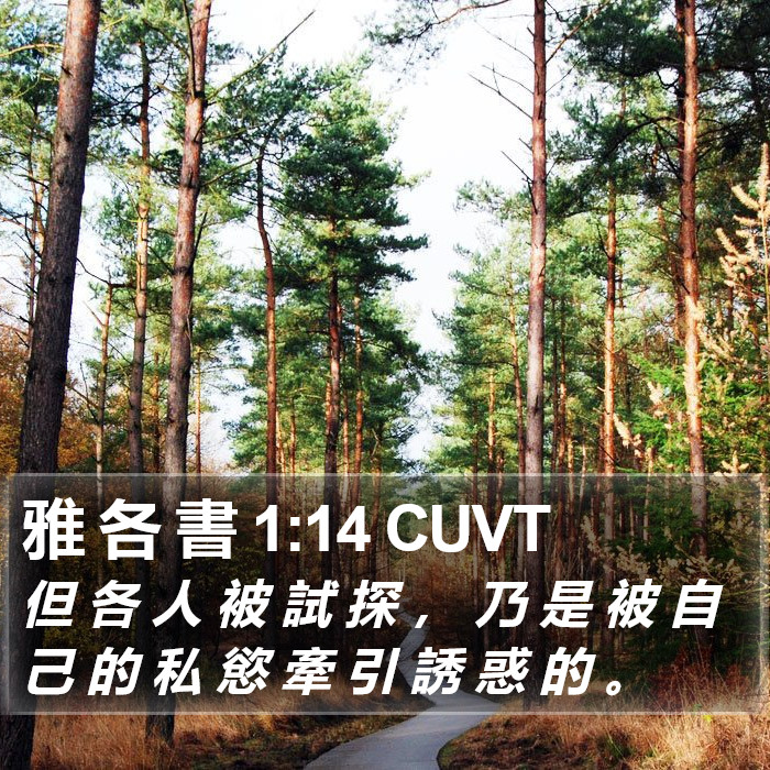 雅 各 書 1:14 CUVT Bible Study