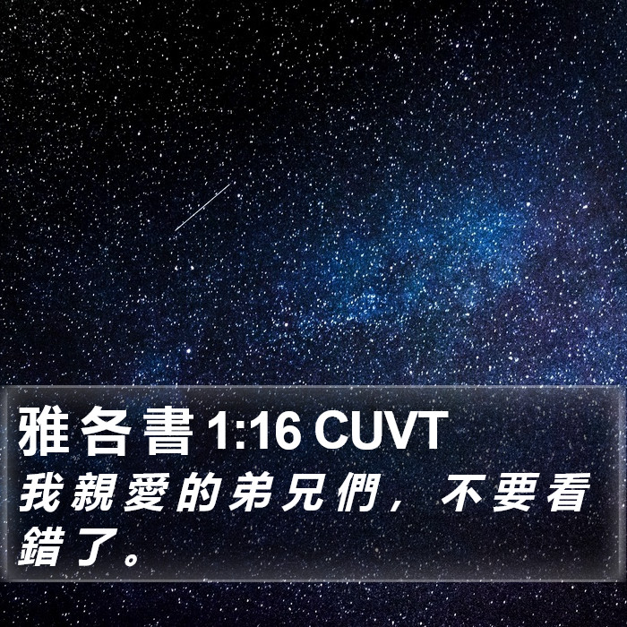 雅 各 書 1:16 CUVT Bible Study