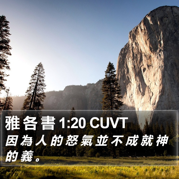 雅 各 書 1:20 CUVT Bible Study