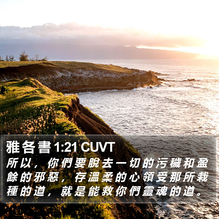 雅 各 書 1:21 CUVT Bible Study