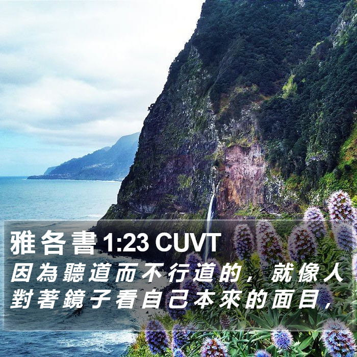 雅 各 書 1:23 CUVT Bible Study