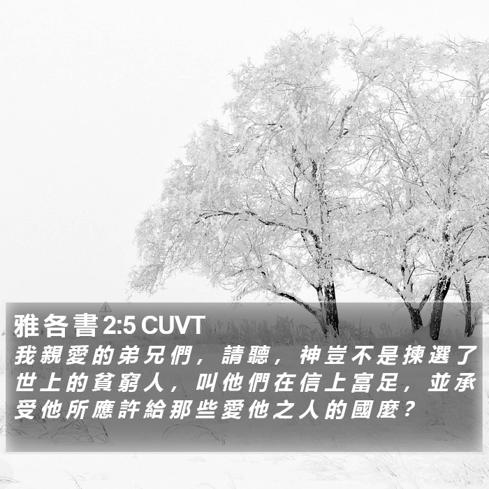 雅 各 書 2:5 CUVT Bible Study