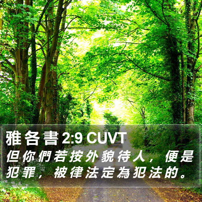 雅 各 書 2:9 CUVT Bible Study