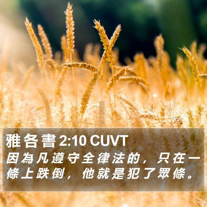 雅 各 書 2:10 CUVT Bible Study