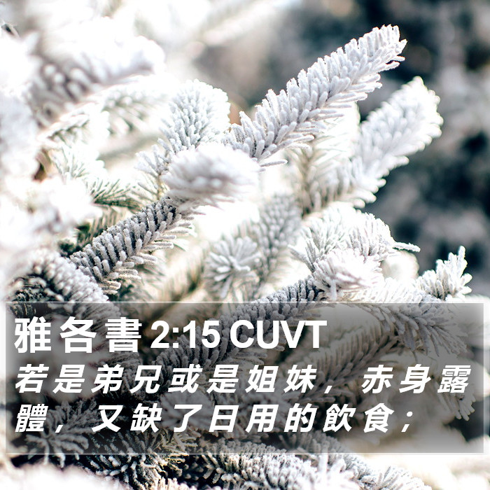 雅 各 書 2:15 CUVT Bible Study