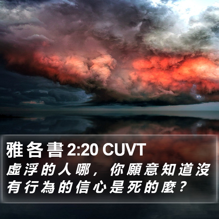 雅 各 書 2:20 CUVT Bible Study