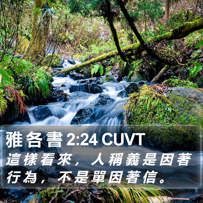 雅 各 書 2:24 CUVT Bible Study