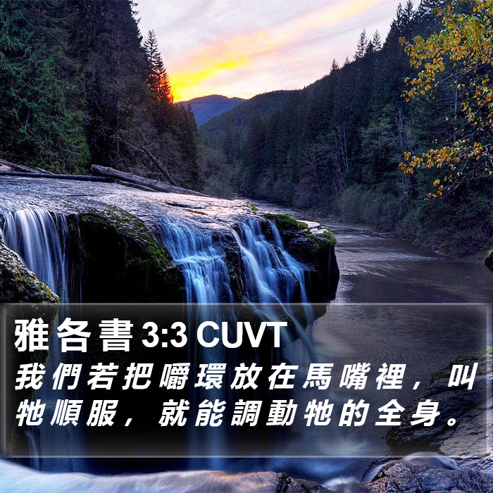 雅 各 書 3:3 CUVT Bible Study