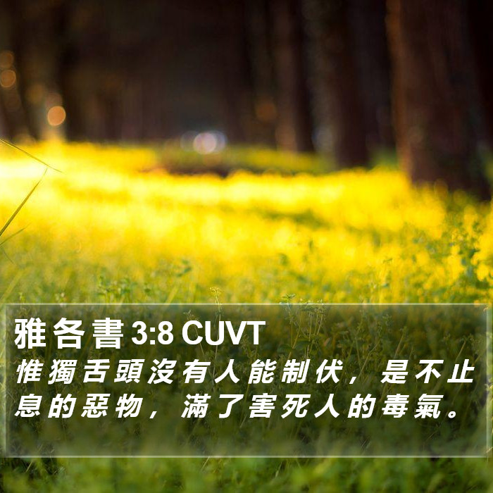雅 各 書 3:8 CUVT Bible Study