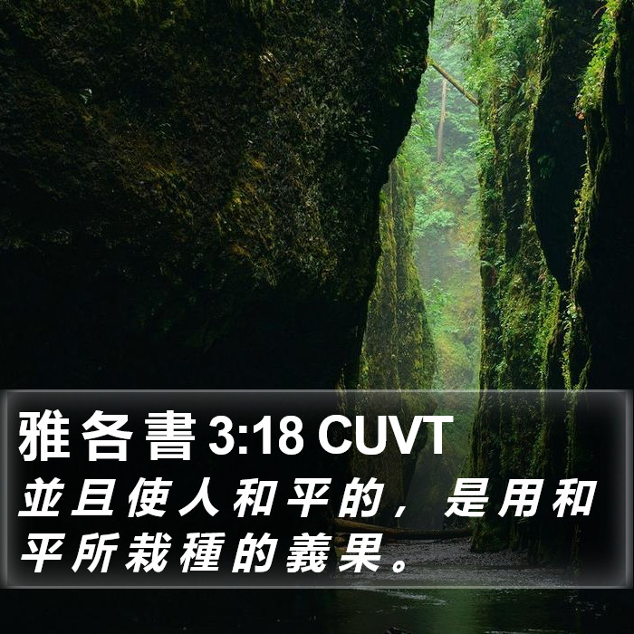 雅 各 書 3:18 CUVT Bible Study