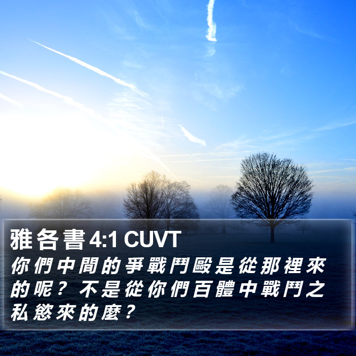 雅 各 書 4:1 CUVT Bible Study