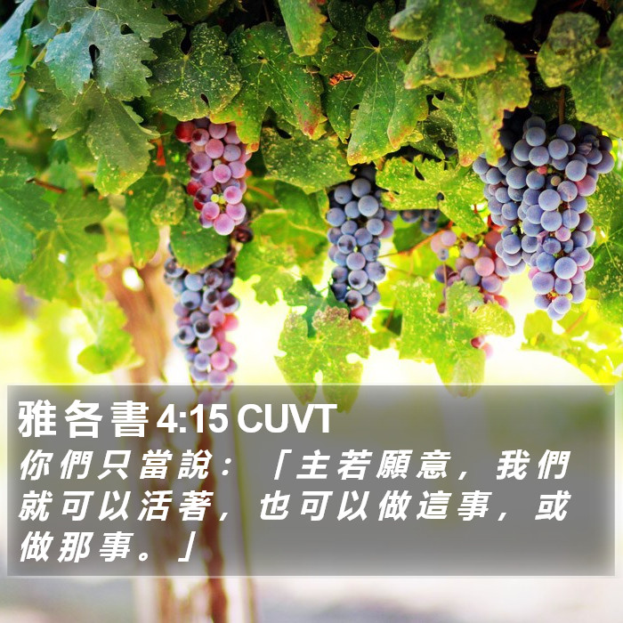 雅 各 書 4:15 CUVT Bible Study