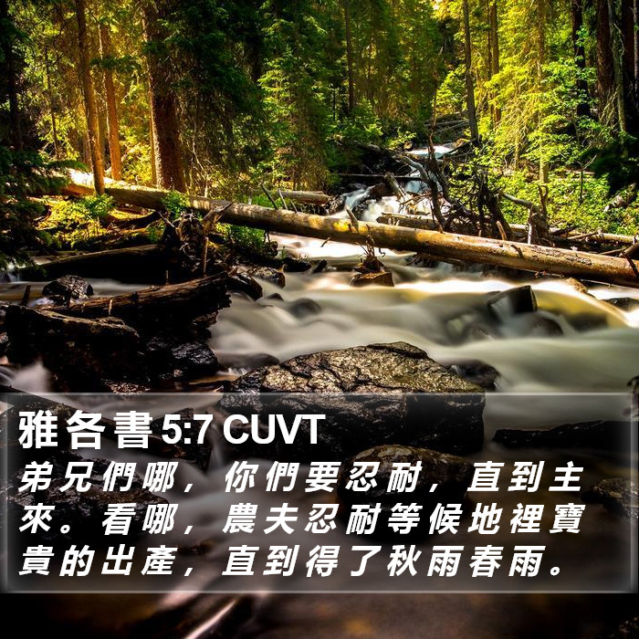 雅 各 書 5:7 CUVT Bible Study