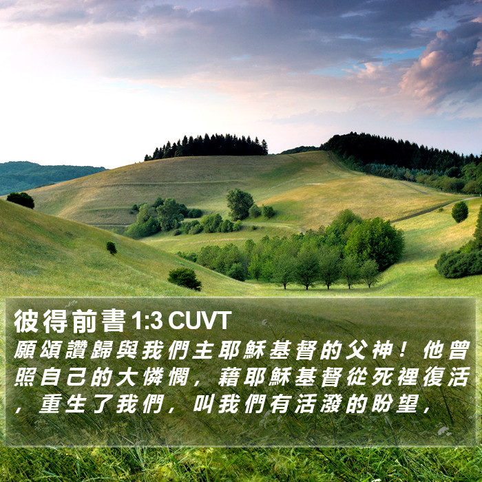 彼 得 前 書 1:3 CUVT Bible Study