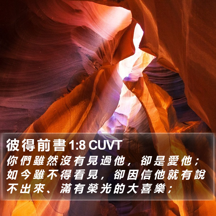 彼 得 前 書 1:8 CUVT Bible Study