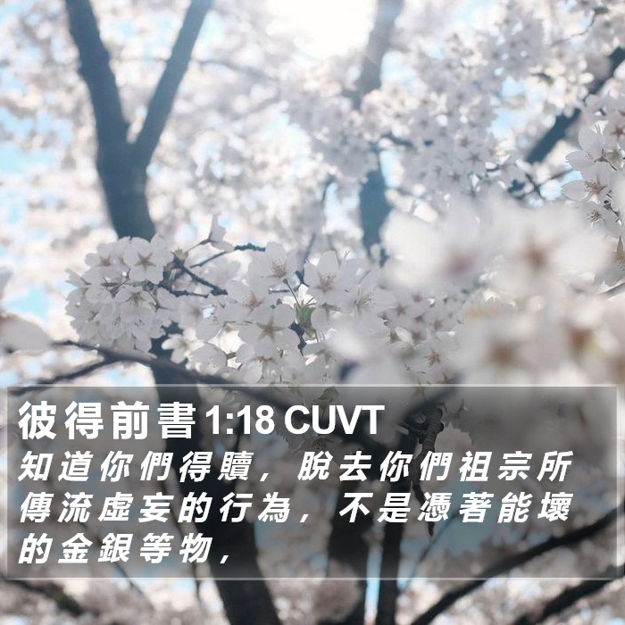 彼 得 前 書 1:18 CUVT Bible Study