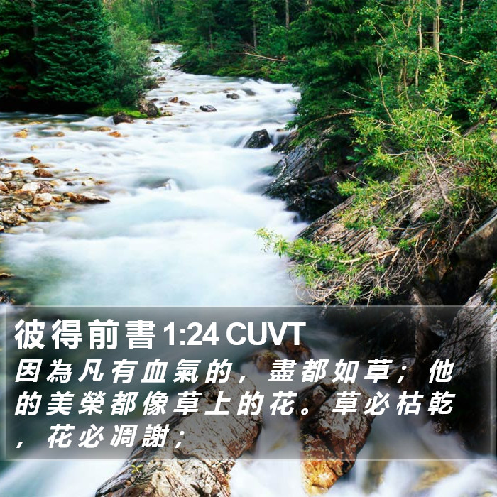 彼 得 前 書 1:24 CUVT Bible Study