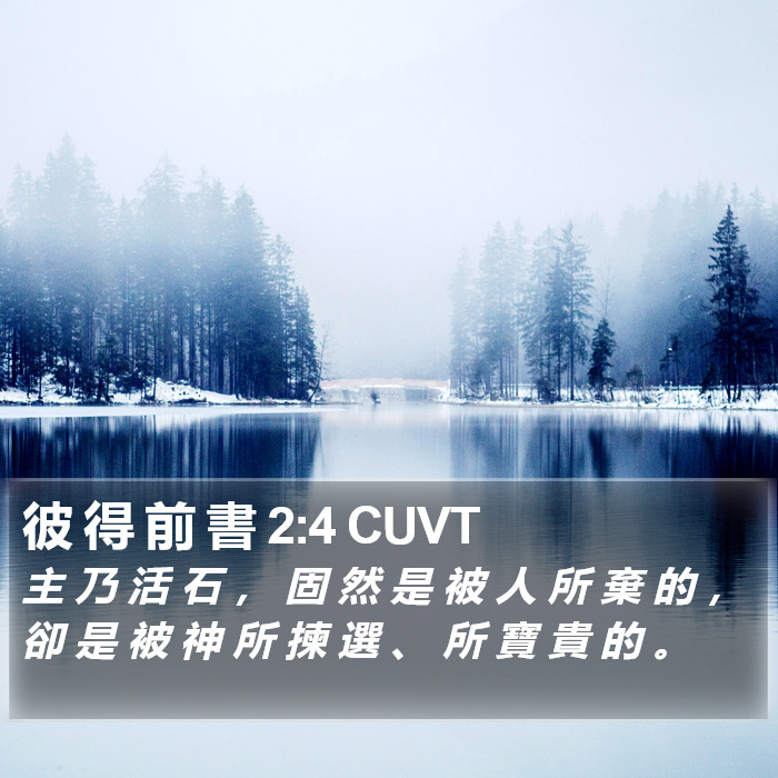 彼 得 前 書 2:4 CUVT Bible Study