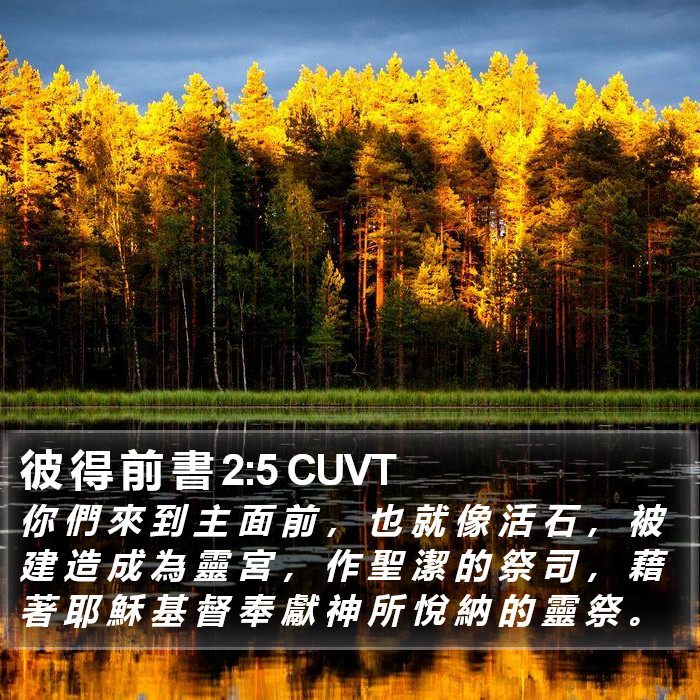 彼 得 前 書 2:5 CUVT Bible Study