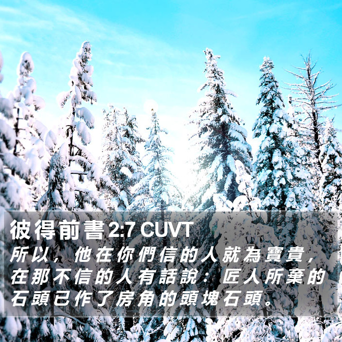 彼 得 前 書 2:7 CUVT Bible Study