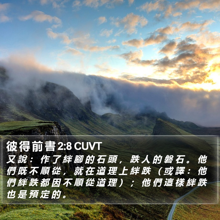 彼 得 前 書 2:8 CUVT Bible Study