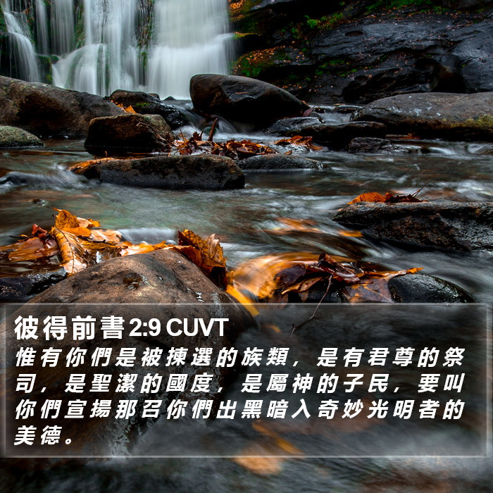 彼 得 前 書 2:9 CUVT Bible Study