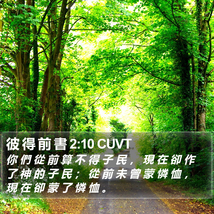 彼 得 前 書 2:10 CUVT Bible Study