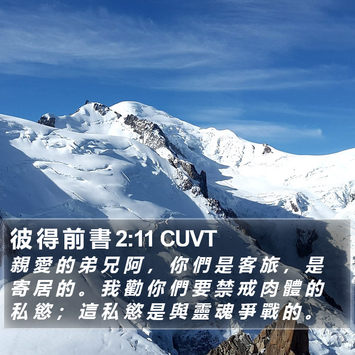 彼 得 前 書 2:11 CUVT Bible Study