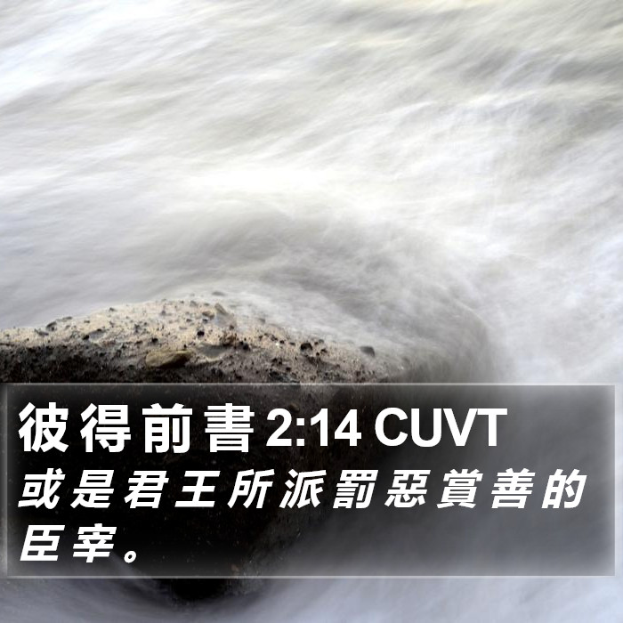 彼 得 前 書 2:14 CUVT Bible Study