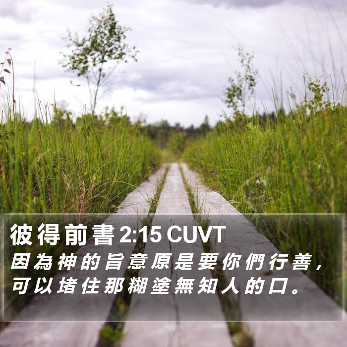 彼 得 前 書 2:15 CUVT Bible Study
