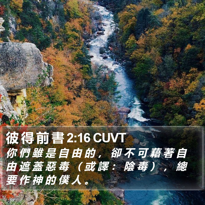 彼 得 前 書 2:16 CUVT Bible Study