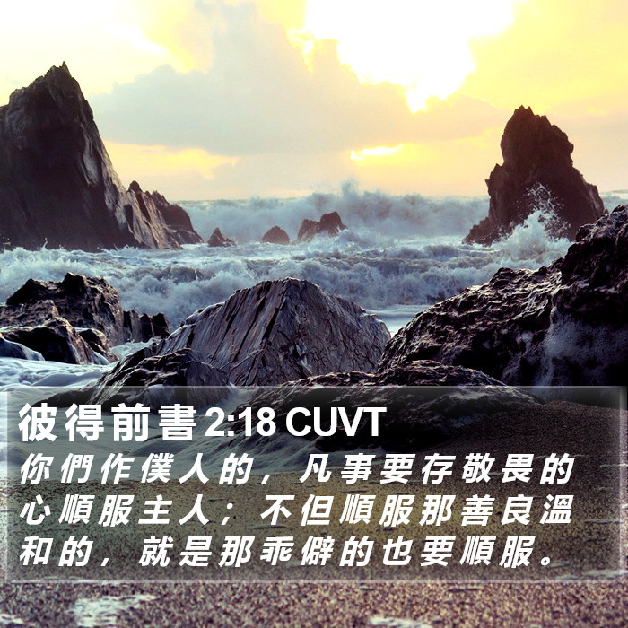 彼 得 前 書 2:18 CUVT Bible Study