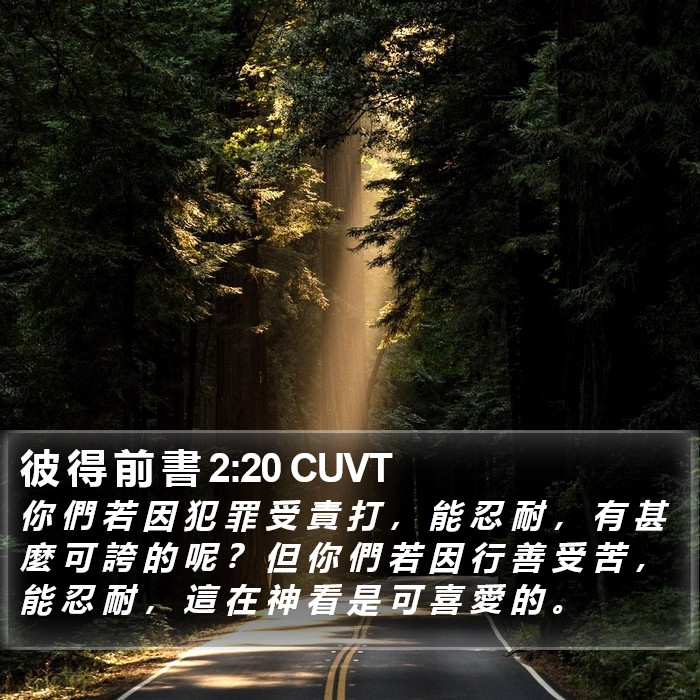 彼 得 前 書 2:20 CUVT Bible Study
