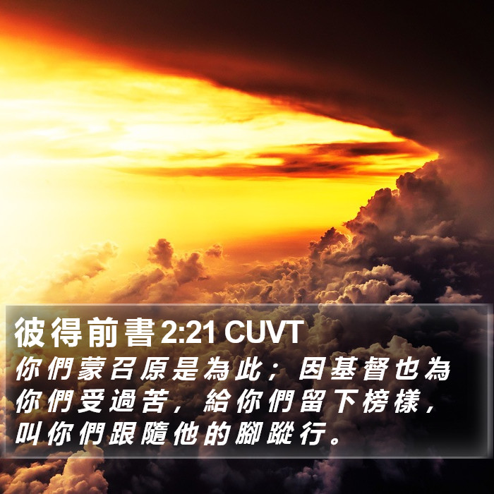 彼 得 前 書 2:21 CUVT Bible Study