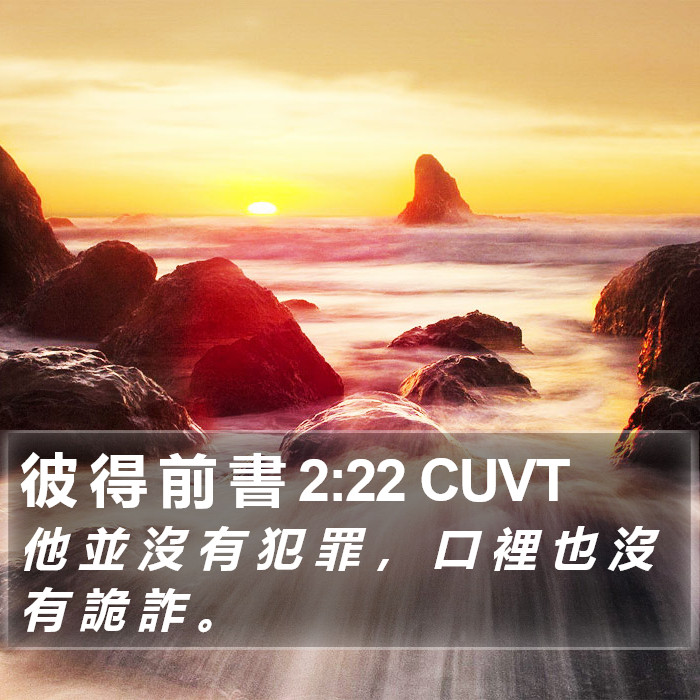 彼 得 前 書 2:22 CUVT Bible Study
