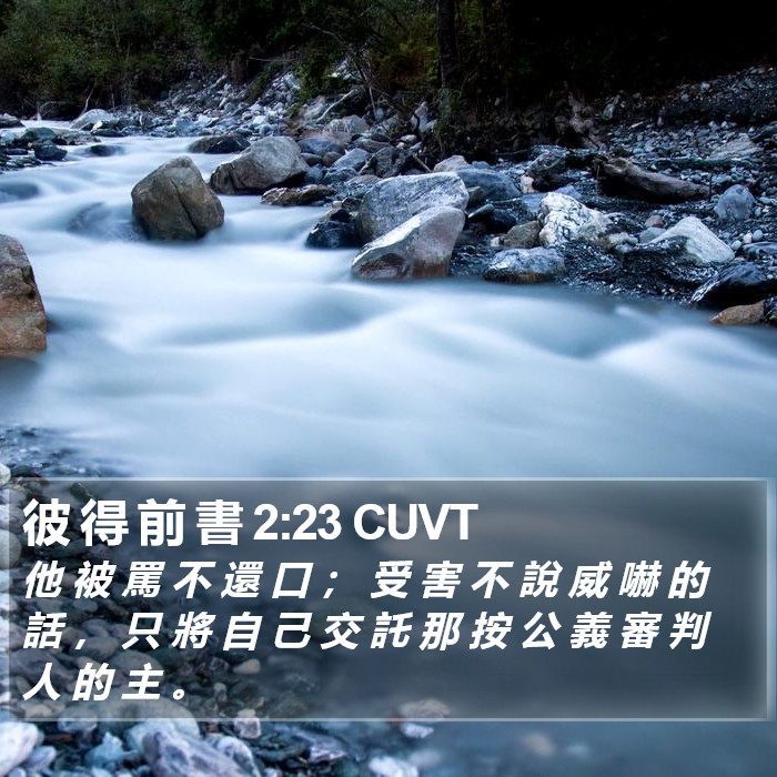 彼 得 前 書 2:23 CUVT Bible Study