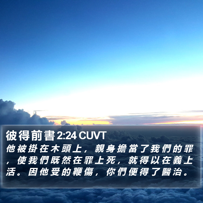 彼 得 前 書 2:24 CUVT Bible Study
