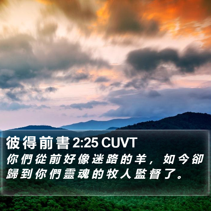 彼 得 前 書 2:25 CUVT Bible Study
