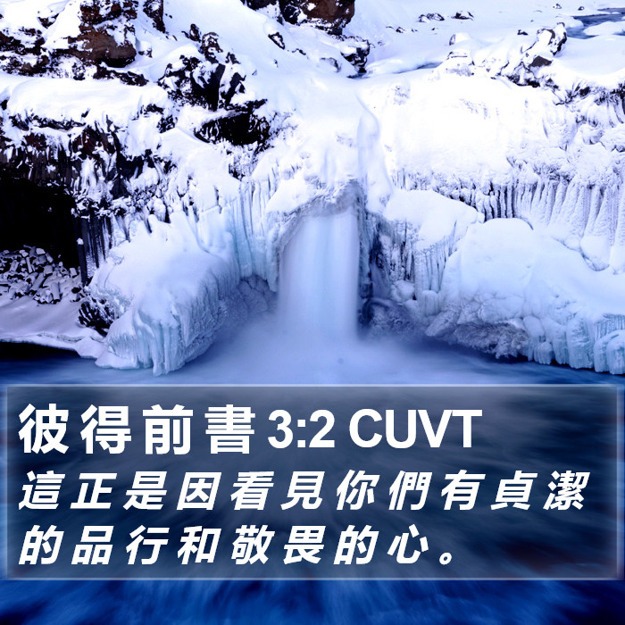 彼 得 前 書 3:2 CUVT Bible Study