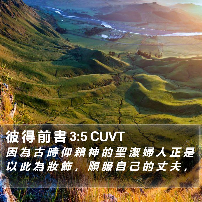 彼 得 前 書 3:5 CUVT Bible Study