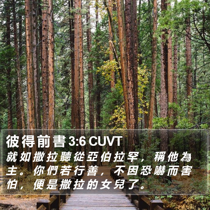 彼 得 前 書 3:6 CUVT Bible Study