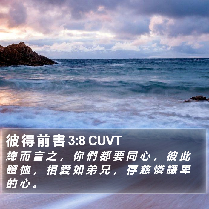 彼 得 前 書 3:8 CUVT Bible Study
