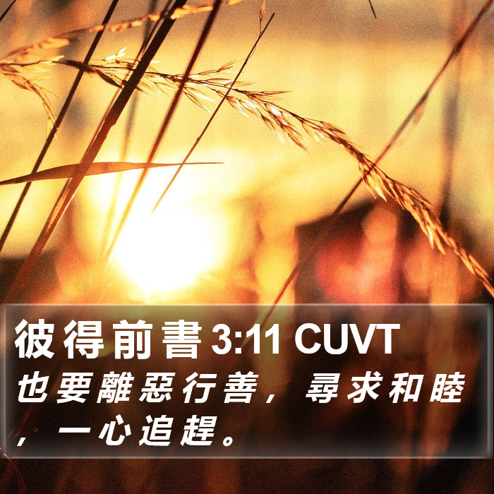 彼 得 前 書 3:11 CUVT Bible Study