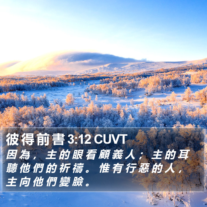 彼 得 前 書 3:12 CUVT Bible Study