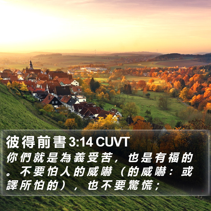 彼 得 前 書 3:14 CUVT Bible Study