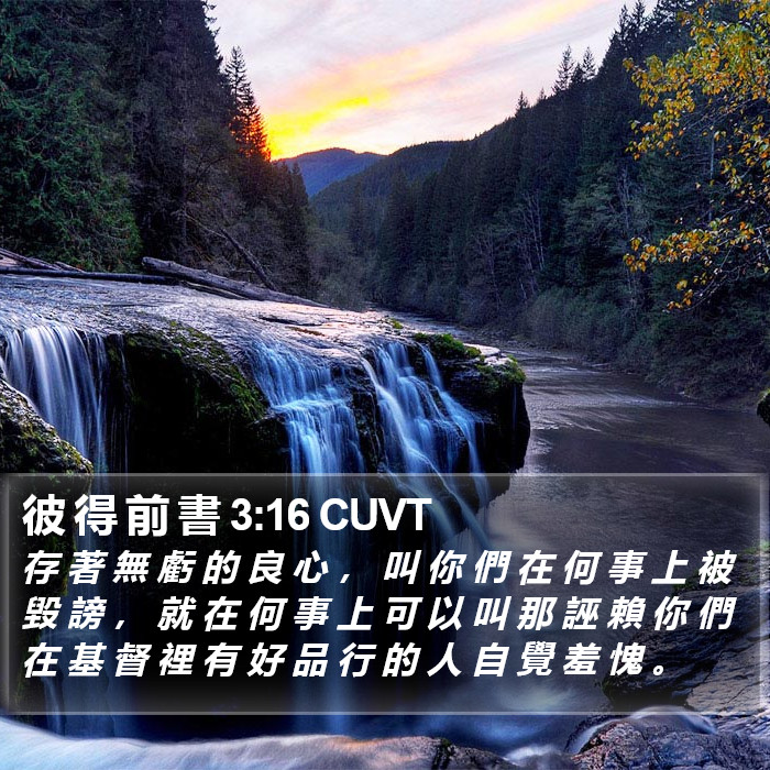 彼 得 前 書 3:16 CUVT Bible Study