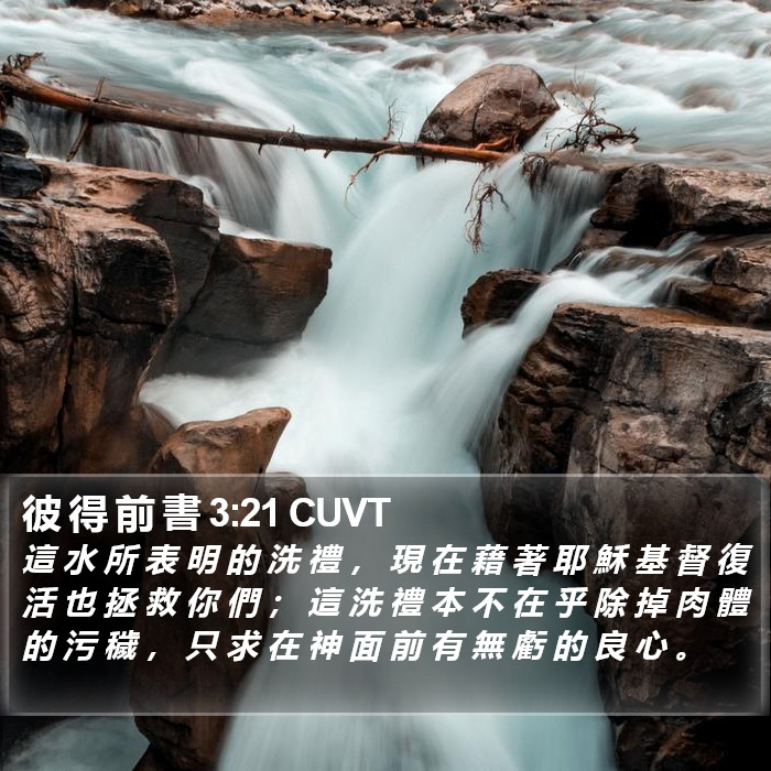 彼 得 前 書 3:21 CUVT Bible Study
