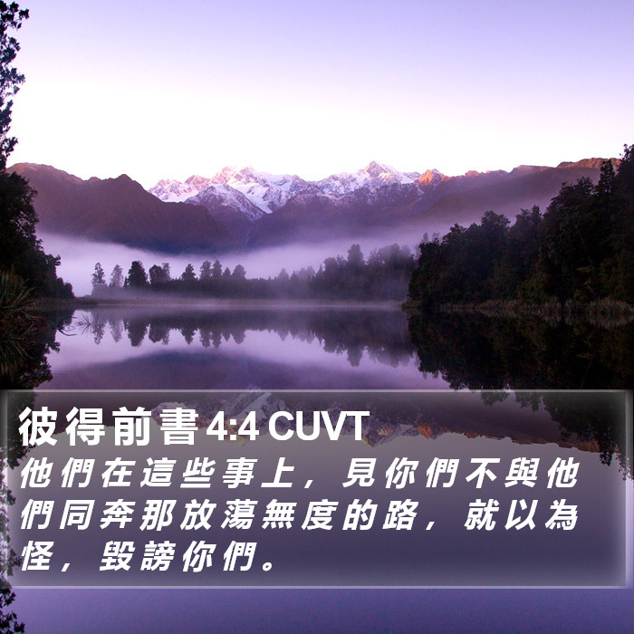 彼 得 前 書 4:4 CUVT Bible Study