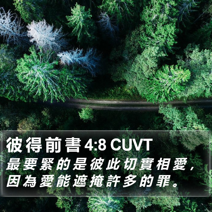 彼 得 前 書 4:8 CUVT Bible Study